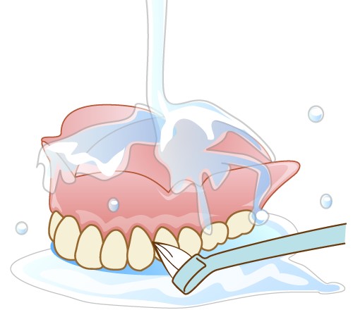 2.義歯用の歯ブラシを使って流水で流しながら磨きます